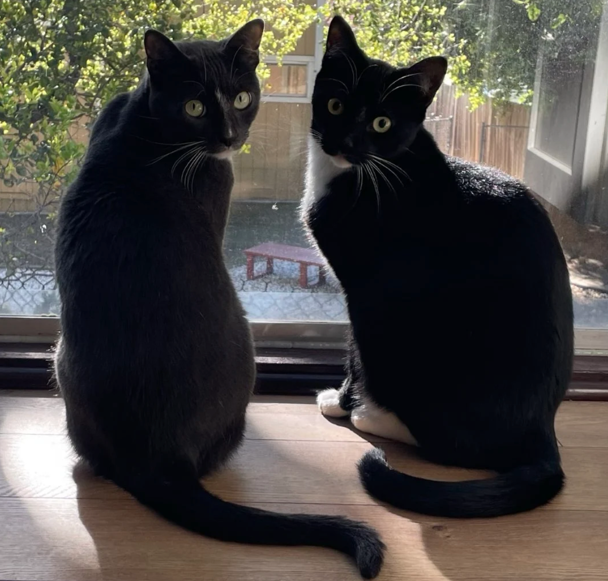 Headshot of Juliette